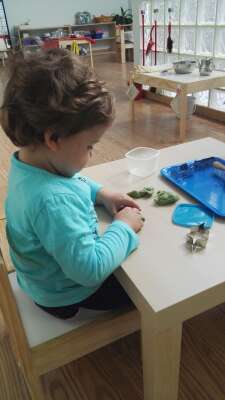 Foto Escuela Infantil Escuela Infantil Montessori Boadilla #2