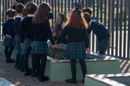 Foto Colegio Trinity College San Sebastián De Los Reyes #3