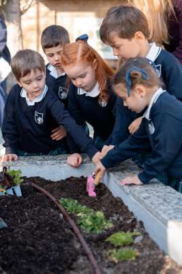 Foto Colegio Trinity College San Sebastián De Los Reyes #3