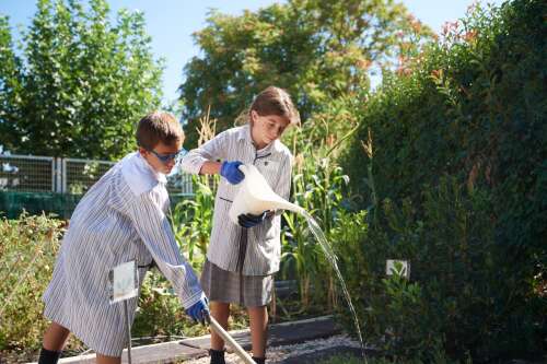 Foto Colegio Internacional Aravaca #2