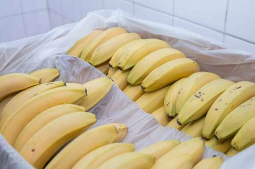 Foto Escuela Infantil Alaria International Nuevos Ministerios #2