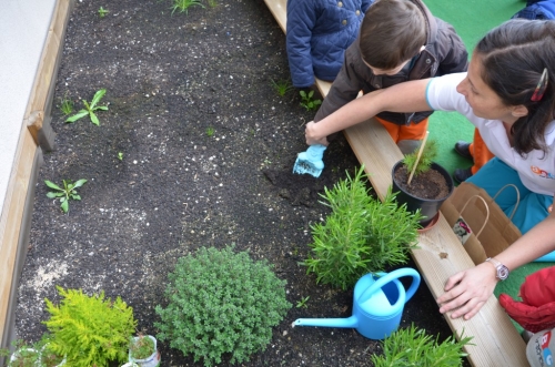 Foto Escuela Infantil Abc Go Nurseries Julián Camarillo #0