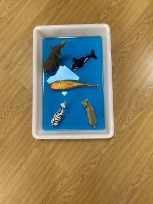 Foto Escuela Infantil Raices #3