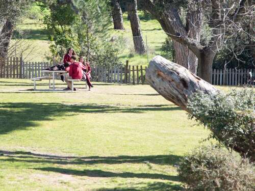 Foto Colegio Aquinas American School #3