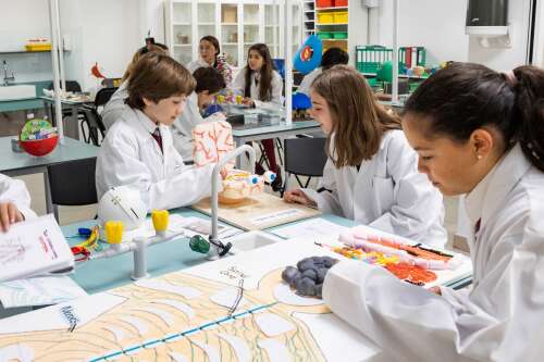 Foto Colegio Dallington School #2