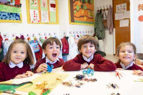 Foto Colegio Dallington School #2