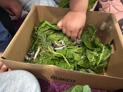 Foto Escuela Infantil Rocking Kids English Nursery School #2