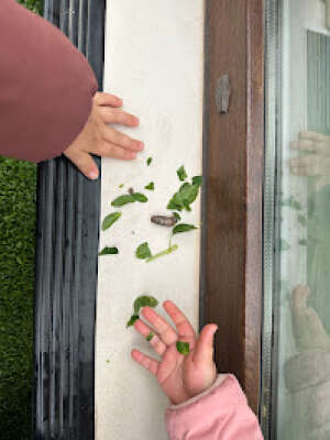 Foto Escuela Infantil Rocking Kids English Nursery School #2