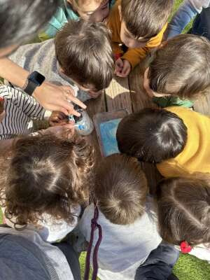 Foto Escuela Infantil Rocking Kids English Nursery School #2