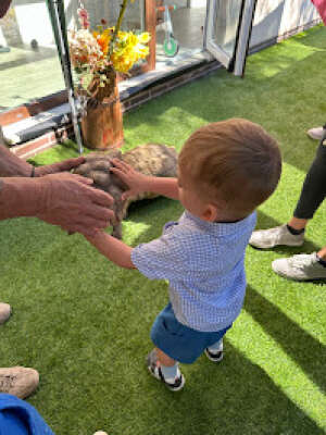 Foto Escuela Infantil Rocking Kids English Nursery School #2