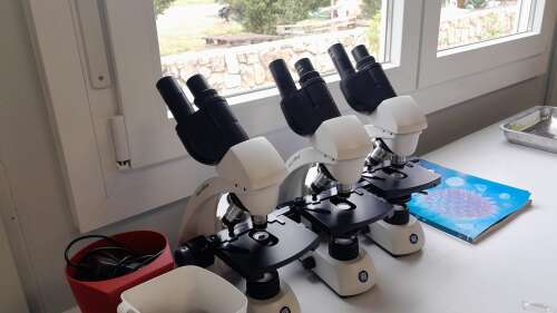 Foto Colegio Dos Latidos Internacional Active School #3