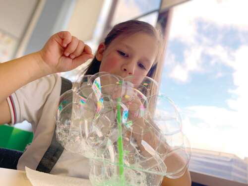 LIFE International School