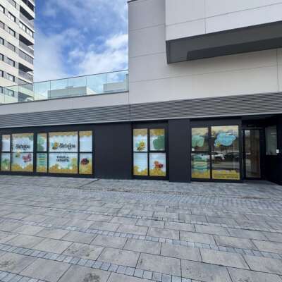 Escuela Infantil Bichejos