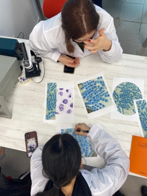 Foto Instituto LMI College #2