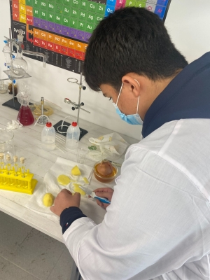 Foto Instituto LMI College #2