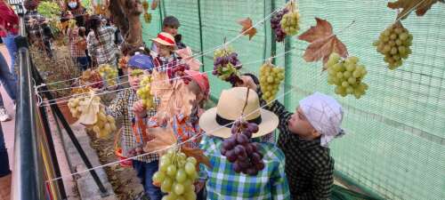 Foto Colegio El Peñón #3