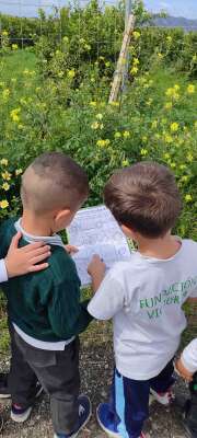 Foto Colegio El Peñón #3