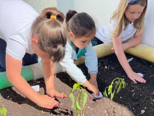 Foto Colegio Estación De Salinas #3
