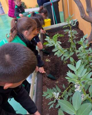 Foto Colegio Diocesano Cristo Rey #2
