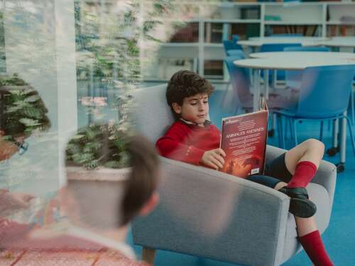 Foto Colegio Sierra Blanca-El Romeral #2