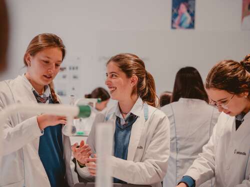 Foto Colegio Sierra Blanca-El Romeral #2