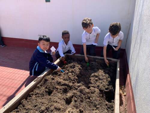 Foto Colegio Diocesano Virgen Del Carmen #2