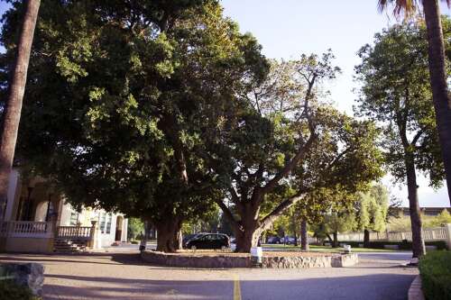 Foto Colegio Gamarra (bachillerato privado) #3