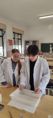 Foto Colegio Gamarra (bachillerato privado) #1