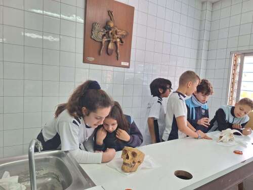 Foto Colegio Alfonso X #2