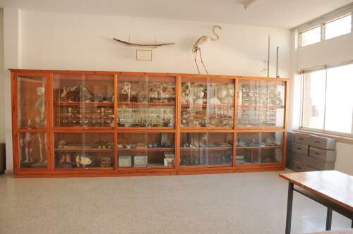 Foto Colegio Los Olivos #2