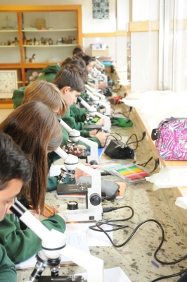 Foto Colegio Los Olivos #2