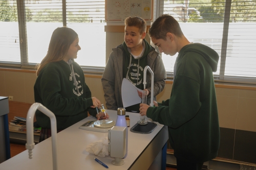 Foto Colegio Los Olivos #2