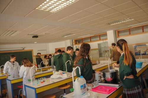 Foto Colegio Los Olivos #2