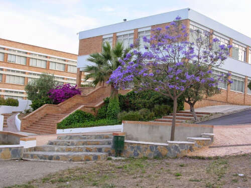 Foto Colegio Los Olivos #2