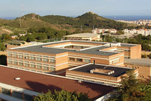 Foto Colegio Los Olivos #2