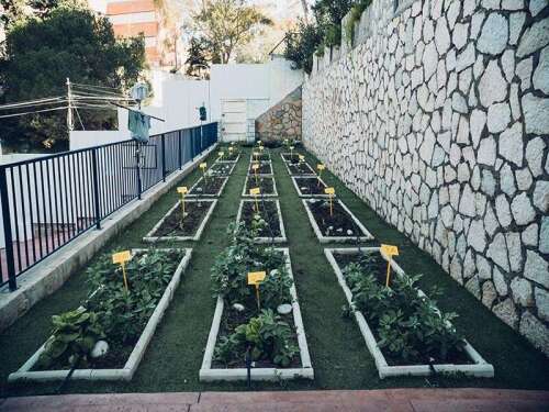 Foto Colegio Platero Green School #2