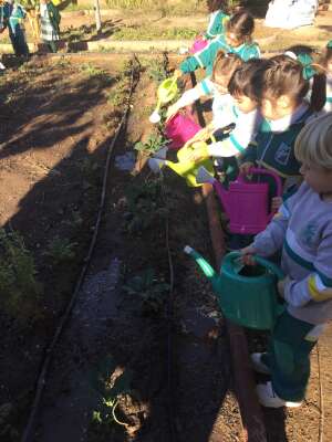 Foto Colegio Puertosol #3