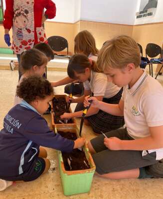 Foto Colegio Monseñor Rodrigo Bocanegra #3