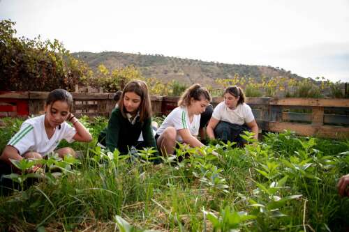 Foto Colegio Nuestra Señora De Lourdes #2