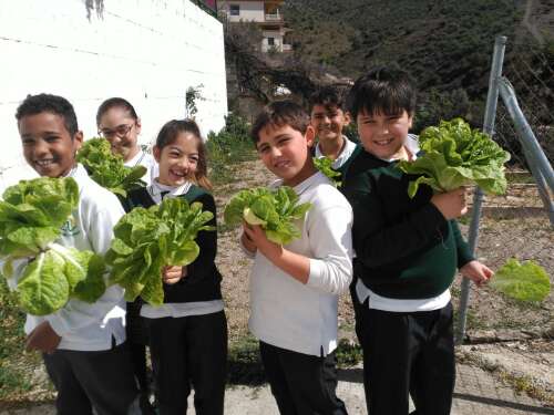 Foto Colegio Nuestra Señora De Lourdes #2