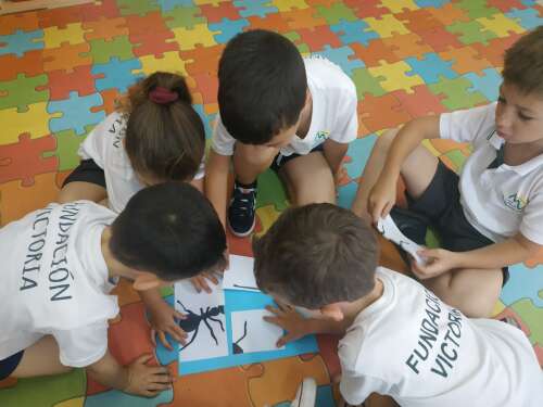 Foto Colegio Padre Arnáiz #3