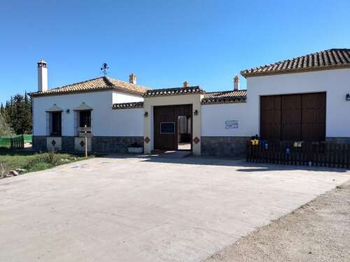 Escuela Internacional Montessori Ronda Y Serranía