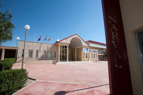 Foto Colegio Cooperativa de Enseñanza Narval #3