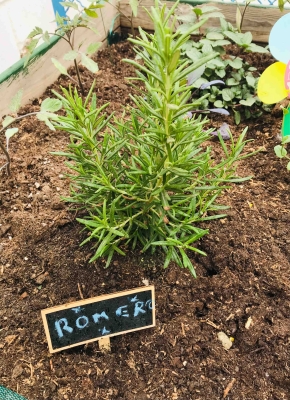 Foto Colegio Hispania #3