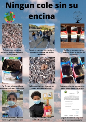 Foto Colegio La Concepción #3