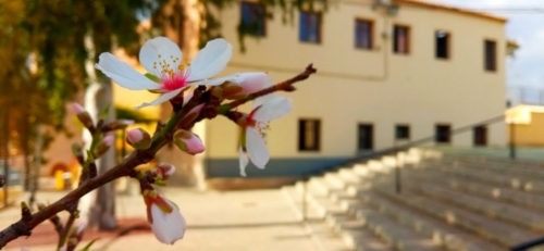 Foto Colegio Casa Del Niño #2