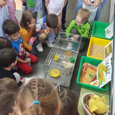 Foto Colegio Nuestra Señora De Fátima #2