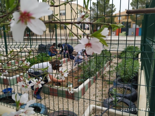 Foto Colegio Bilingüe La Purísima #3