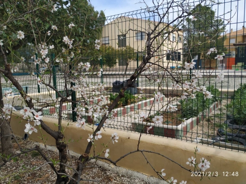 Foto Colegio Bilingüe La Purísima #3