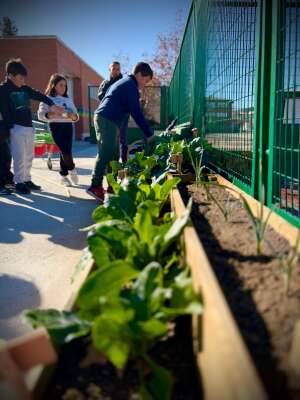 Foto Colegio CEIP Alfonso X El Sabio #3